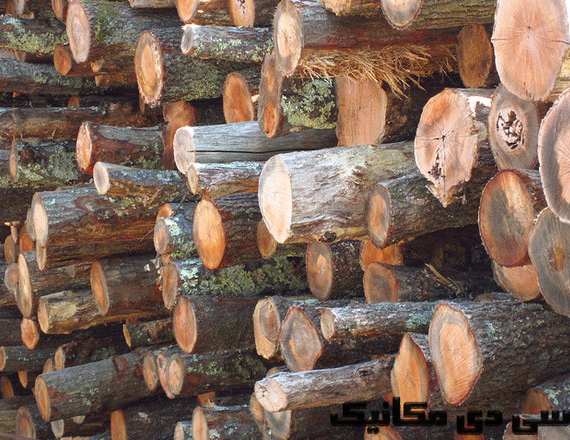 بهترین چوب برای ساخت عصا |مقاوم ترین و با دوام ترین چوب برای ساخت عصا