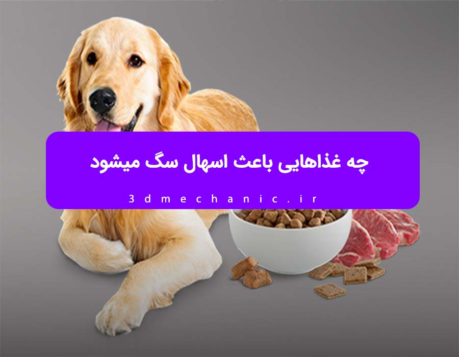چه غذاهایی باعث اسهال سگ میشود
